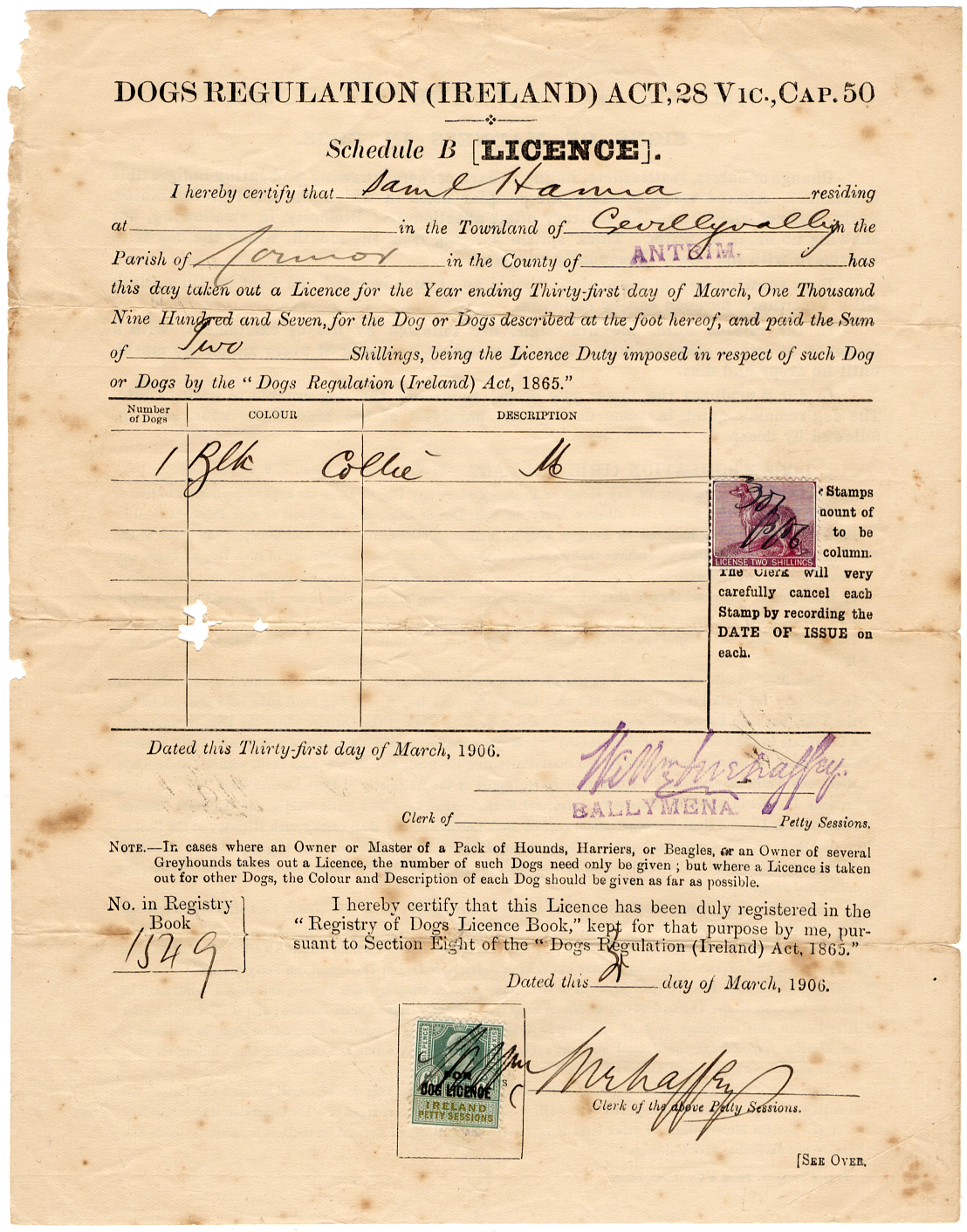 Complete 1907 Dog Licence