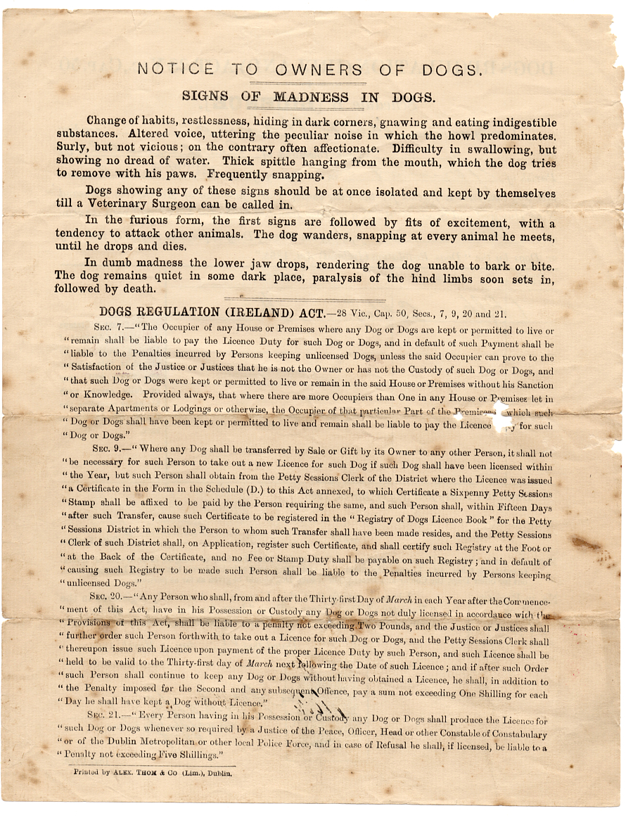 Complete 1907 Dog Licence (reverse)