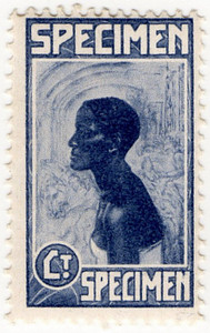 Javanese Girl (NRM Essay)