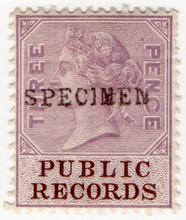(19) 3d Lilac & Brown (1881)