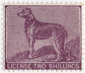 Ireland Dog Licence