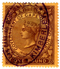 (104) £1 Brown on Orange (1876)