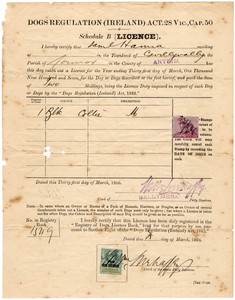 Complete 1907 Dog Licence